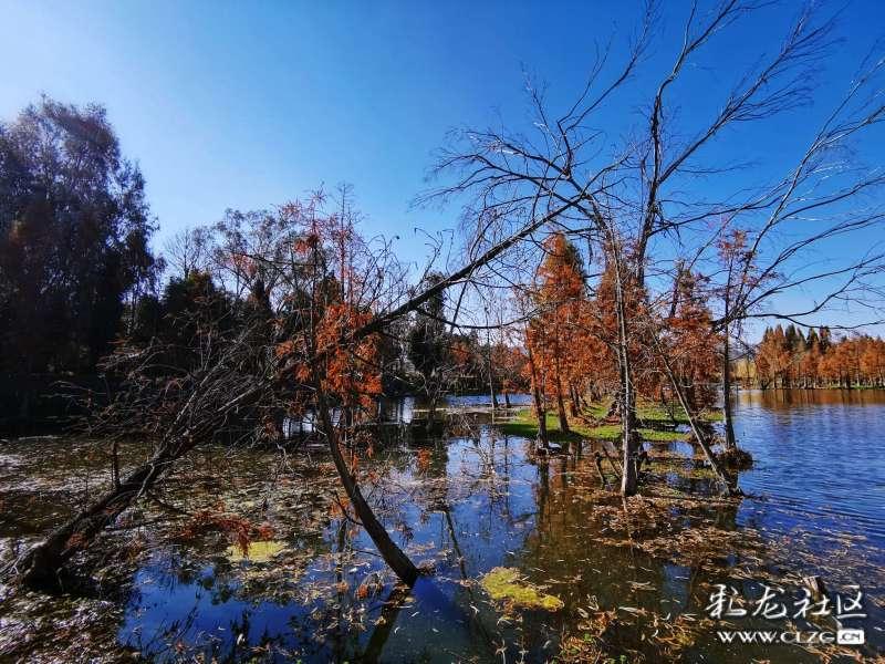 铂力特:23年业绩预增,未来成长可期